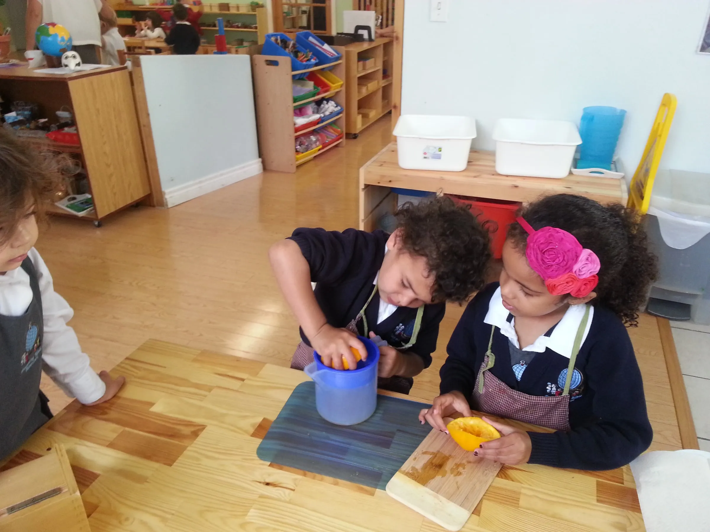 Two preschool children in aprons squeezing oranges into a jug during practical life work